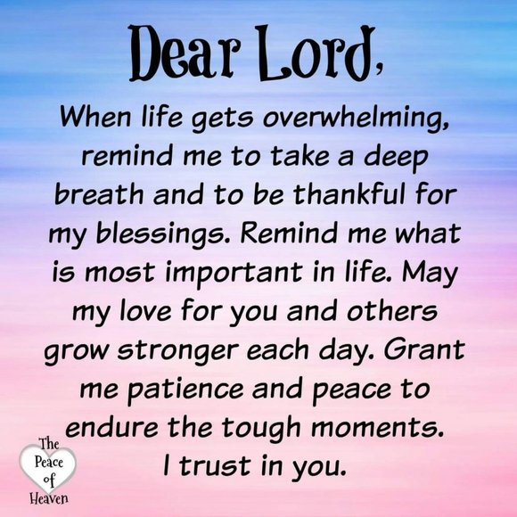 TY for the Prayers & Love 🙏💖 - Picture 10 of 10